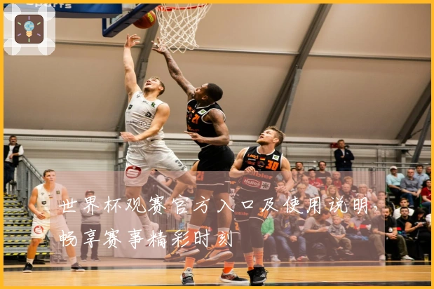 世界杯观赛官方入口及使用说明，畅享赛事精彩时刻