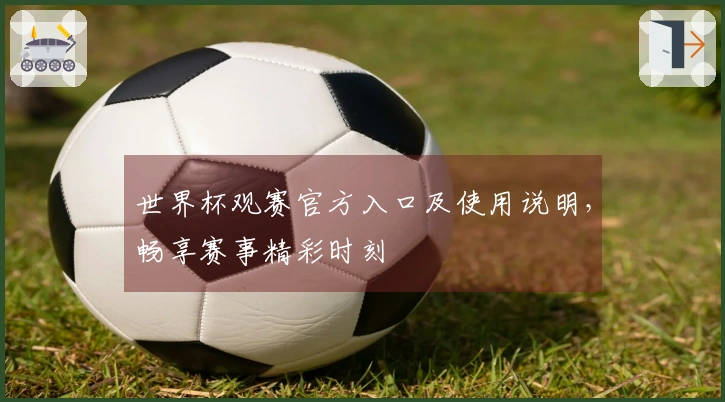 世界杯观赛官方入口及使用说明，畅享赛事精彩时刻
