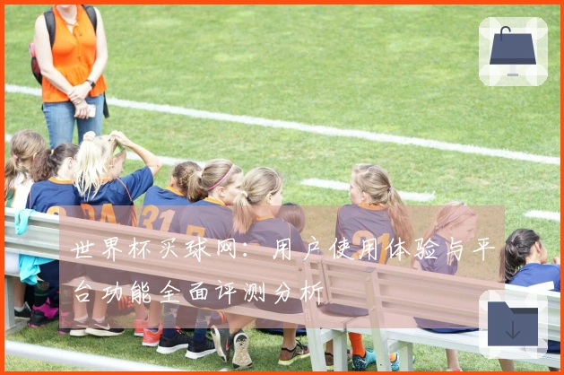 世界杯买球网：用户使用体验与平台功能全面评测分析