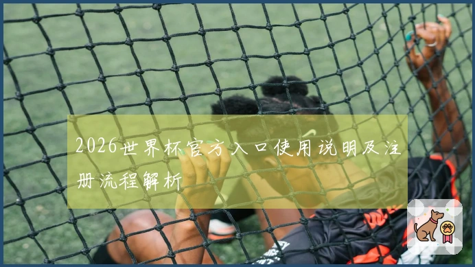 2026世界杯官方入口使用说明及注册流程解析