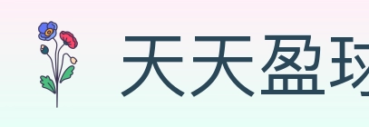 天天盈球 体育直播API